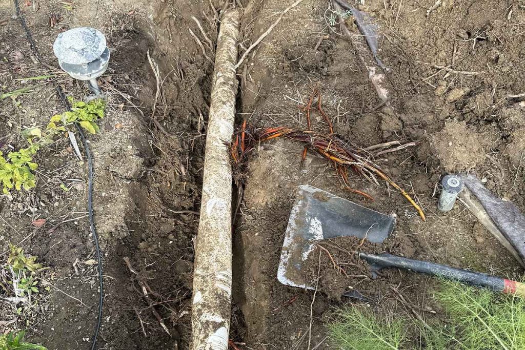 Old clay sewer pipe exposed in a garden trench