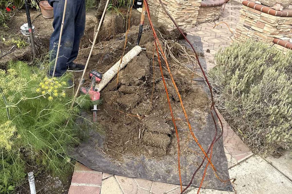 Technician pulling tree roots out of a sewer excavation